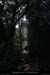 20110209_viresupavpa_sentier