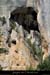 20110413_grotte2avptdarcrd2