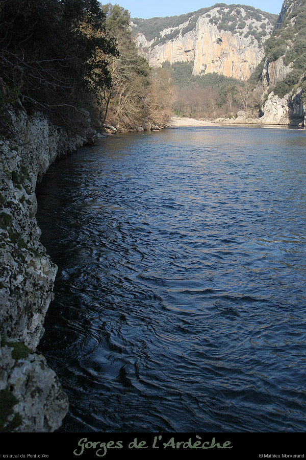 20061227_avptdarcrd1