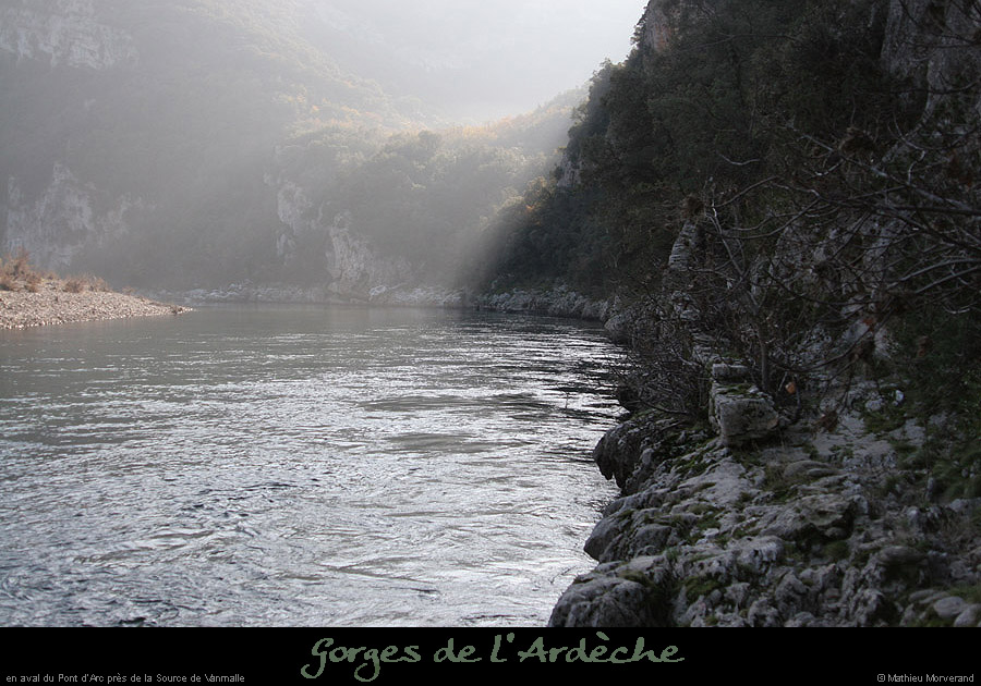 20061227_avptdarcrd3