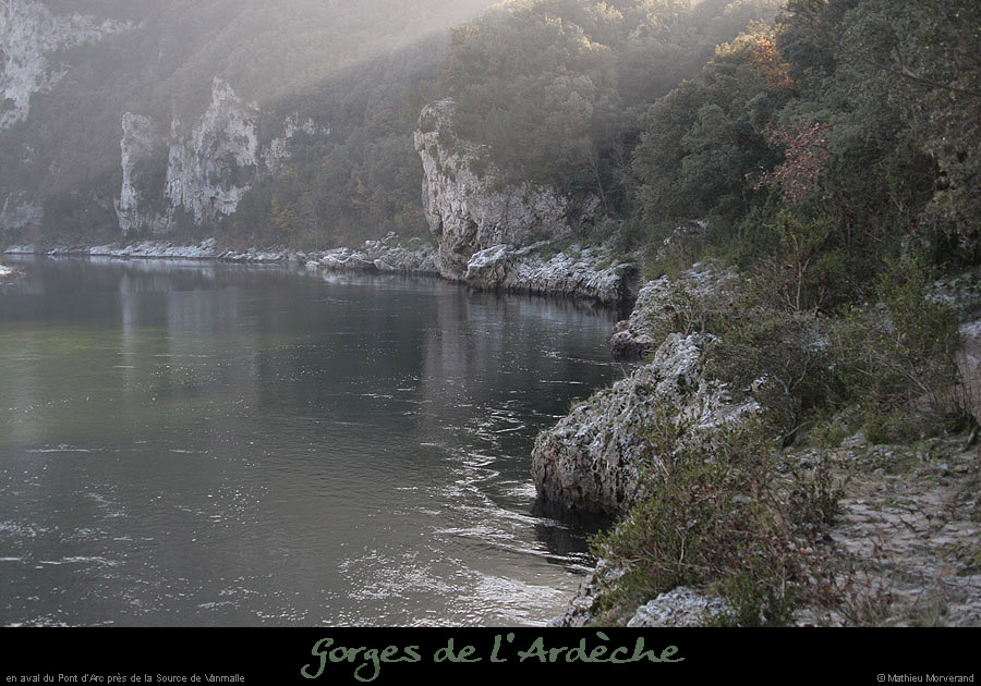 20061227_avptdarcrd4