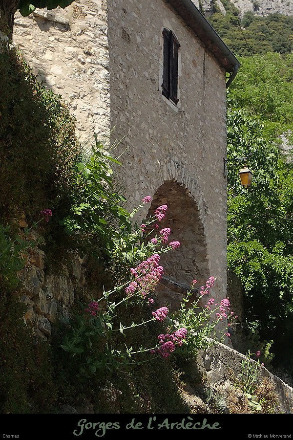 20140514_chames3