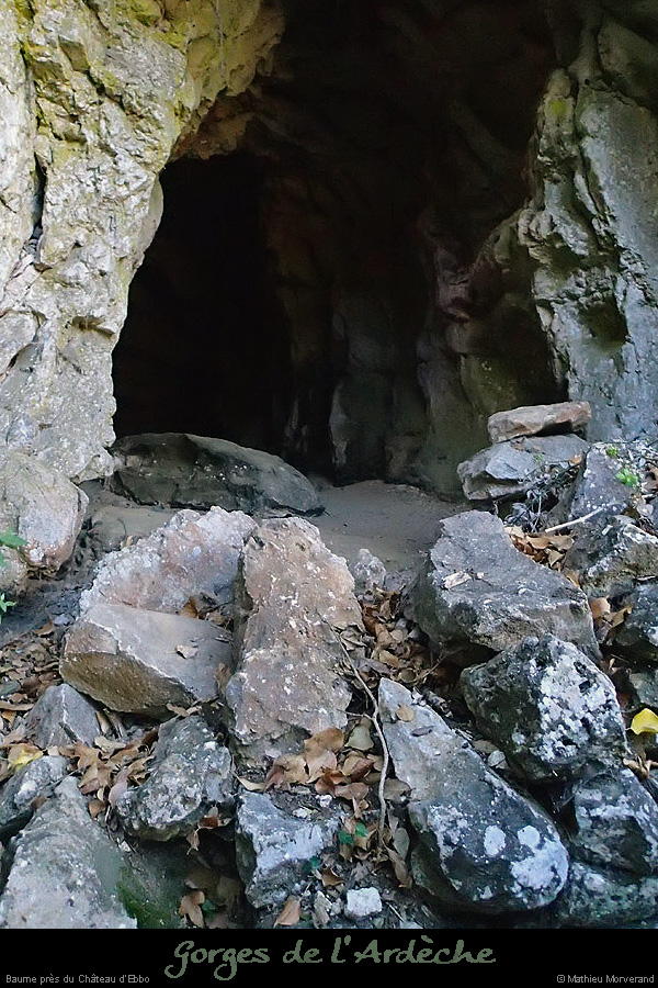 20130915_baumepresebbou1