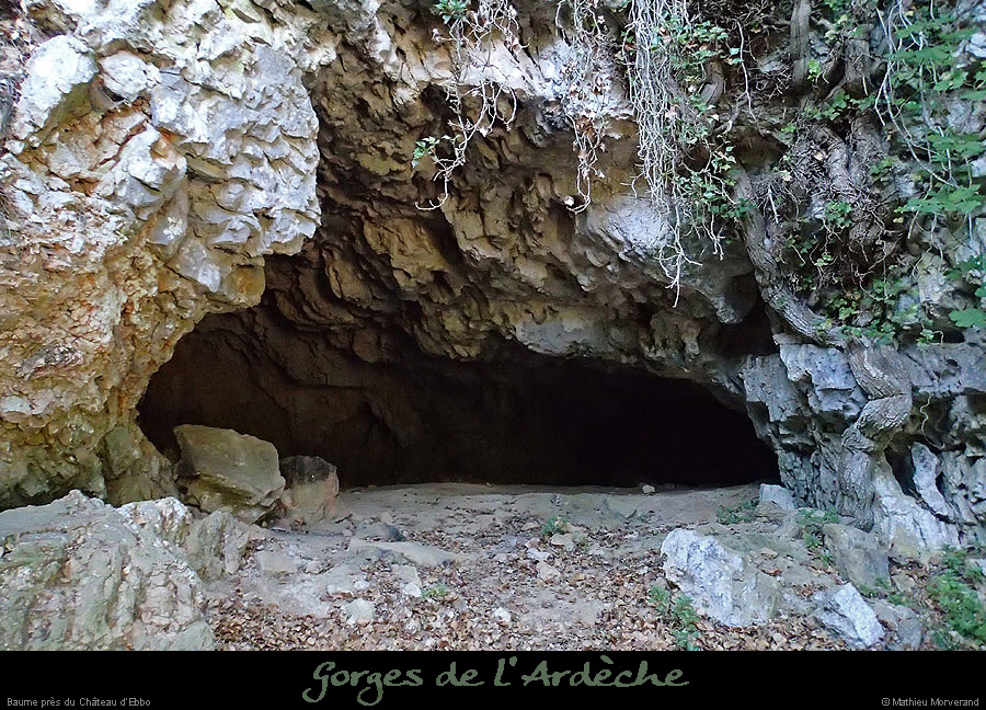 20130915_baumepresebbou2