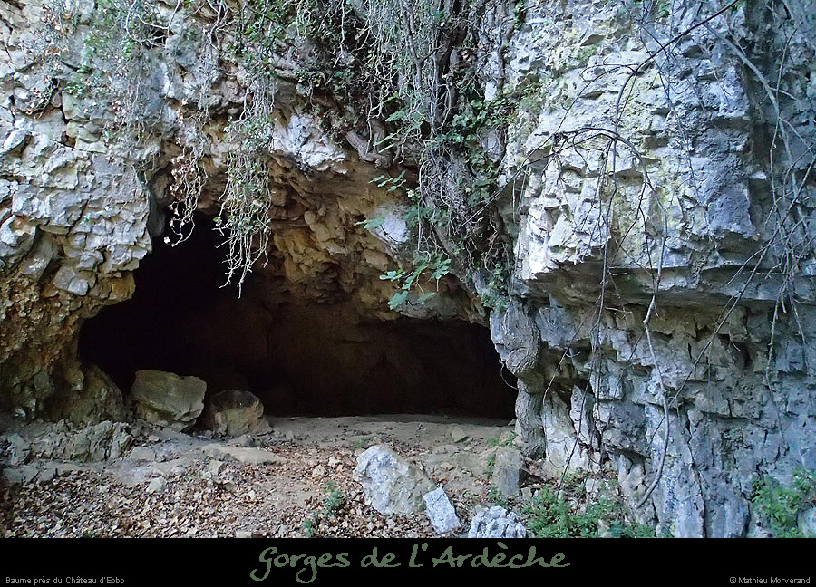 20130915_baumepresebbou3