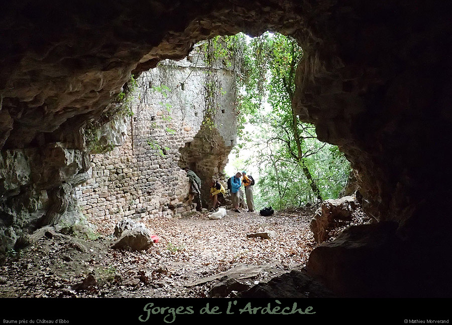 20130915_baumepresebbou4