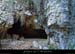 20130915_baumepresebbou3