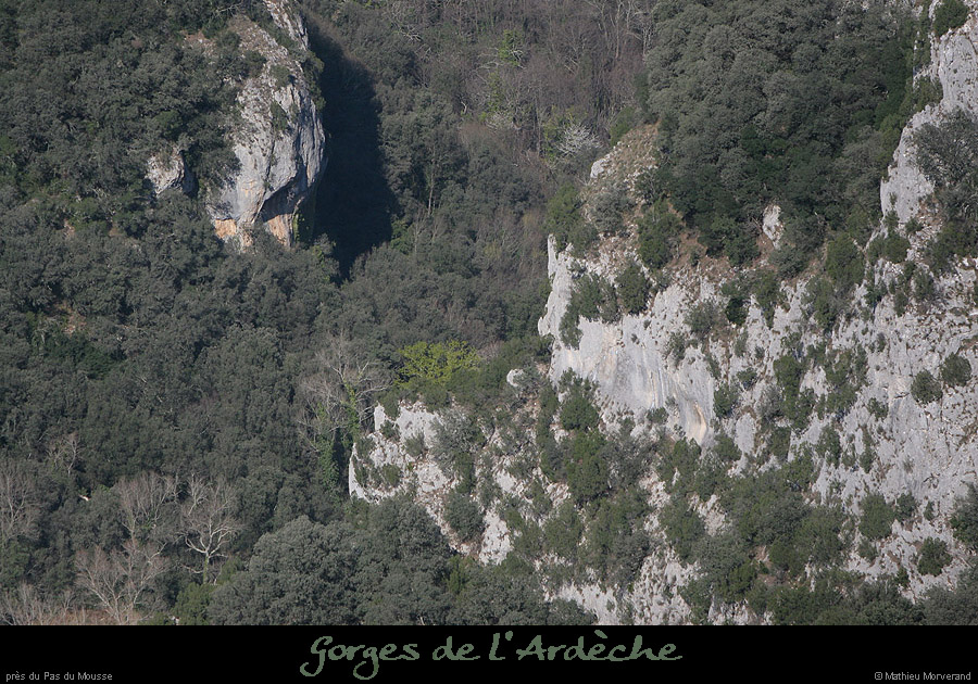 20070325_pasdumousse