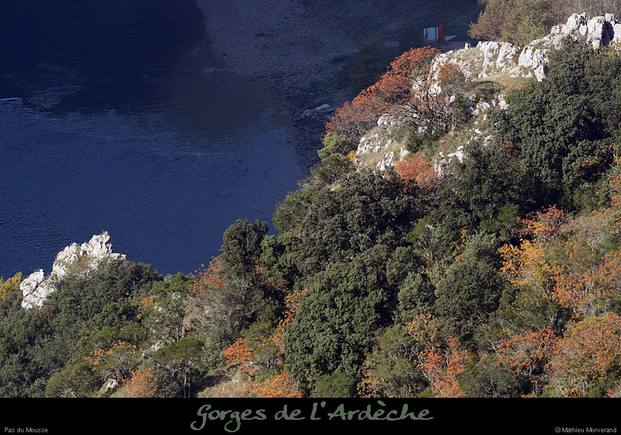 20081011_pasdumousse2