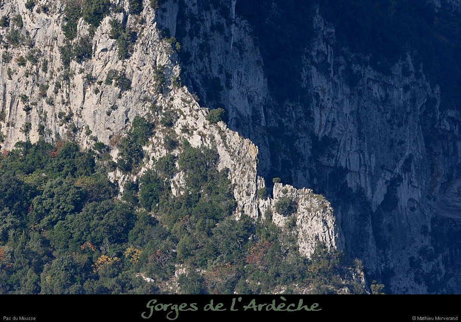 20081011_pasdumousse3