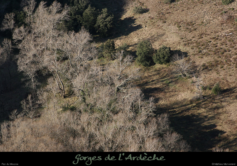 20090101_pasdumousseflncne