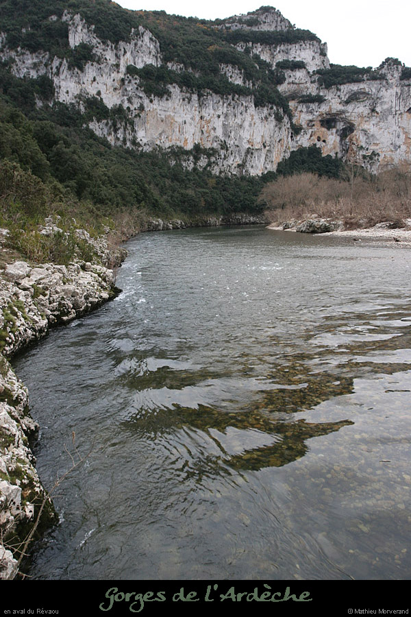 20081123_revaou_aval1