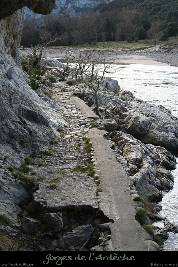 20081123_revaou_ssaiguille1