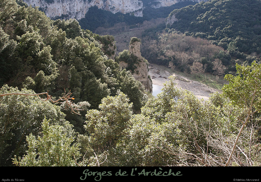20081201_26