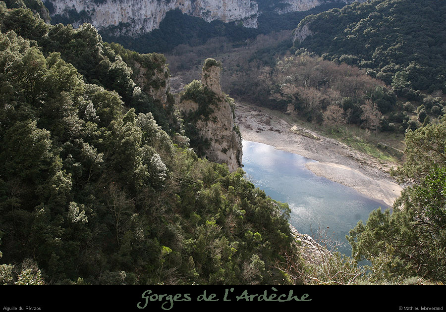 20081201_28