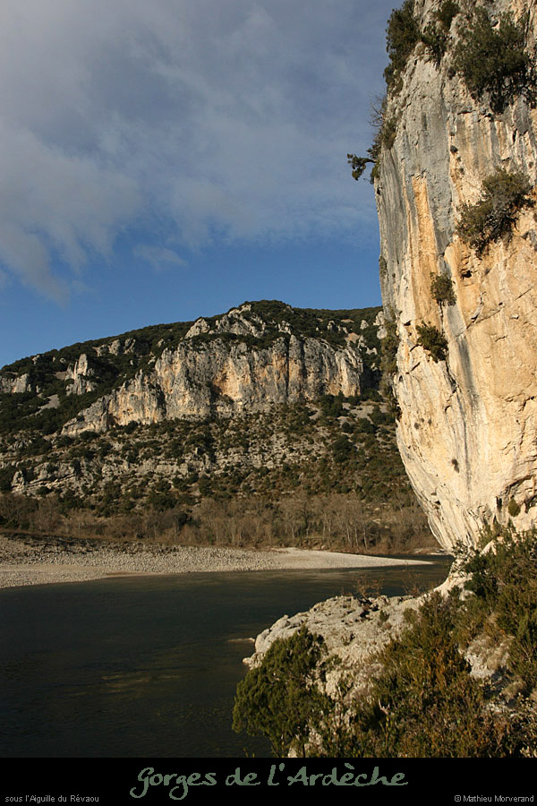 20081219_revaouaval4