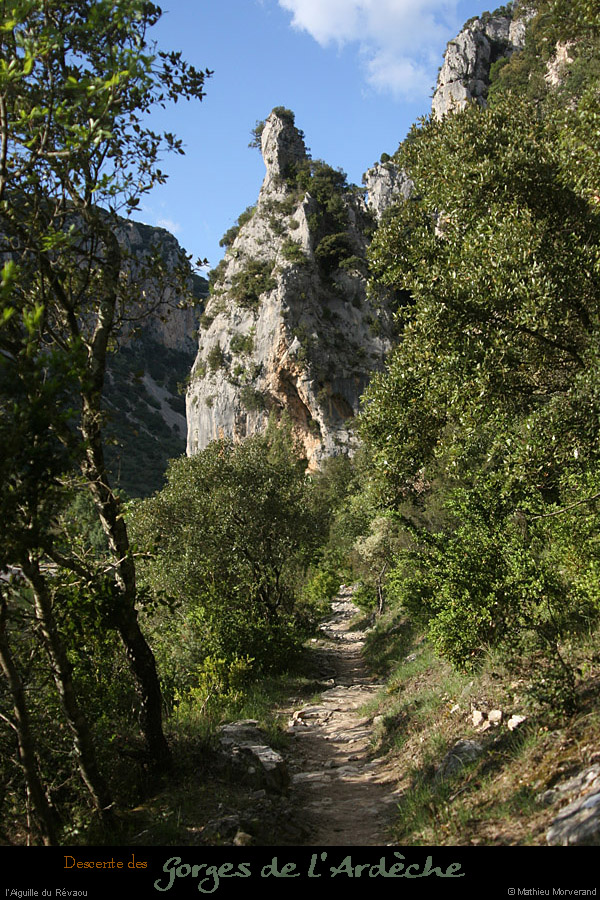 20110424_aiguillerevaouparavdepuissentiergorges3