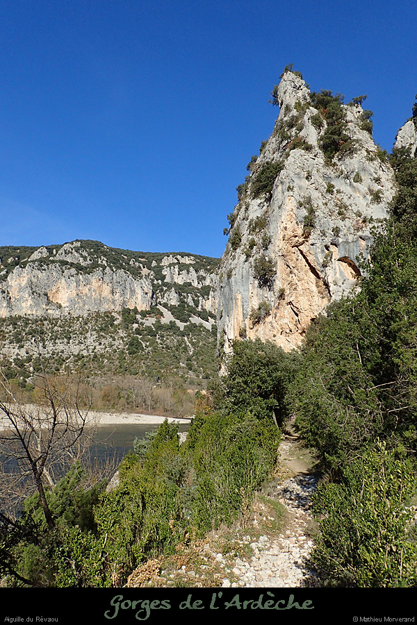 20161112_revaouaiguille