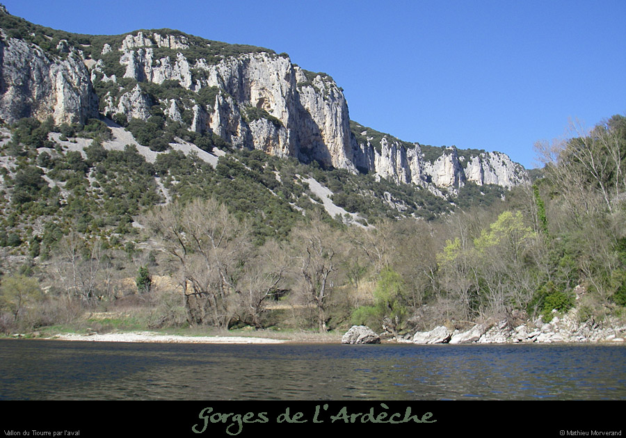 20080318_tiourreav