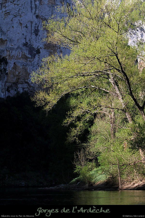20110410_meandrerevaourd3