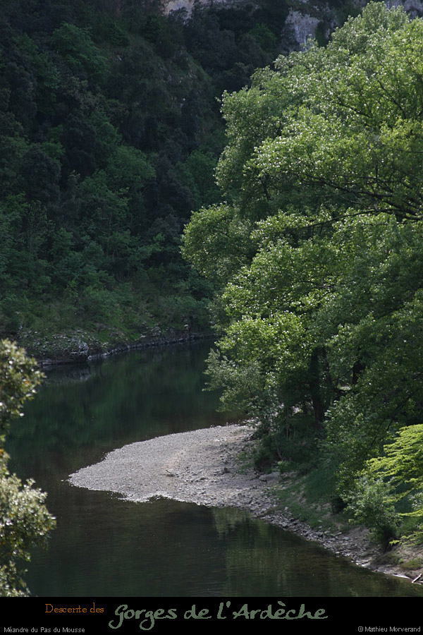 20110424_meandrepasdumousse2