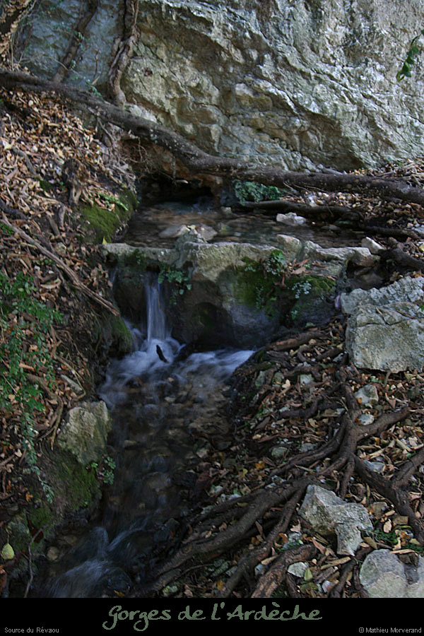 20081123_revaou_source01