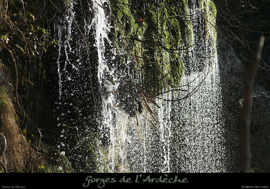 20081123_revaou_source06