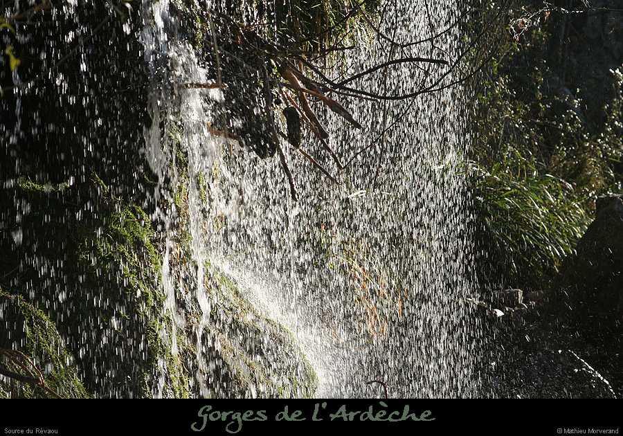 20081201_06