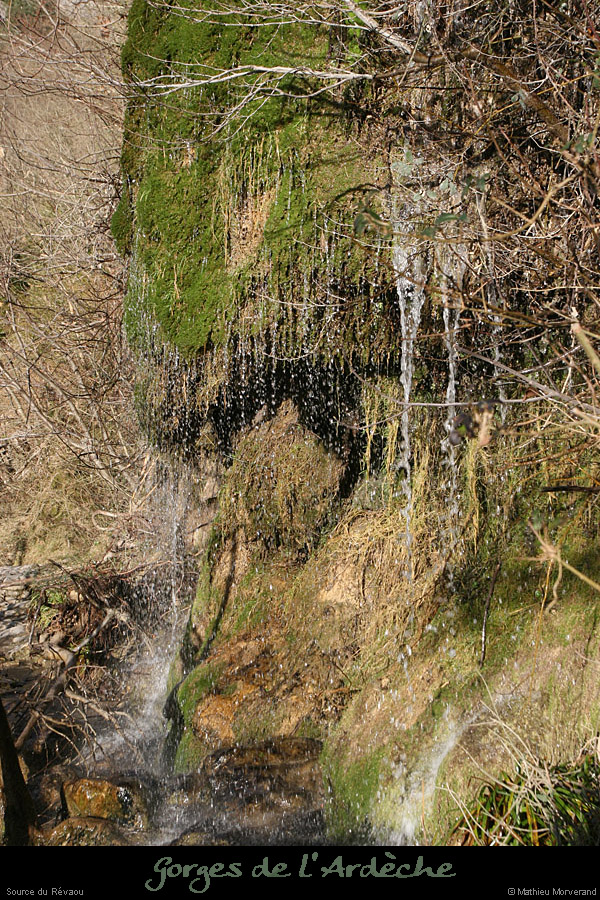 20081201_13