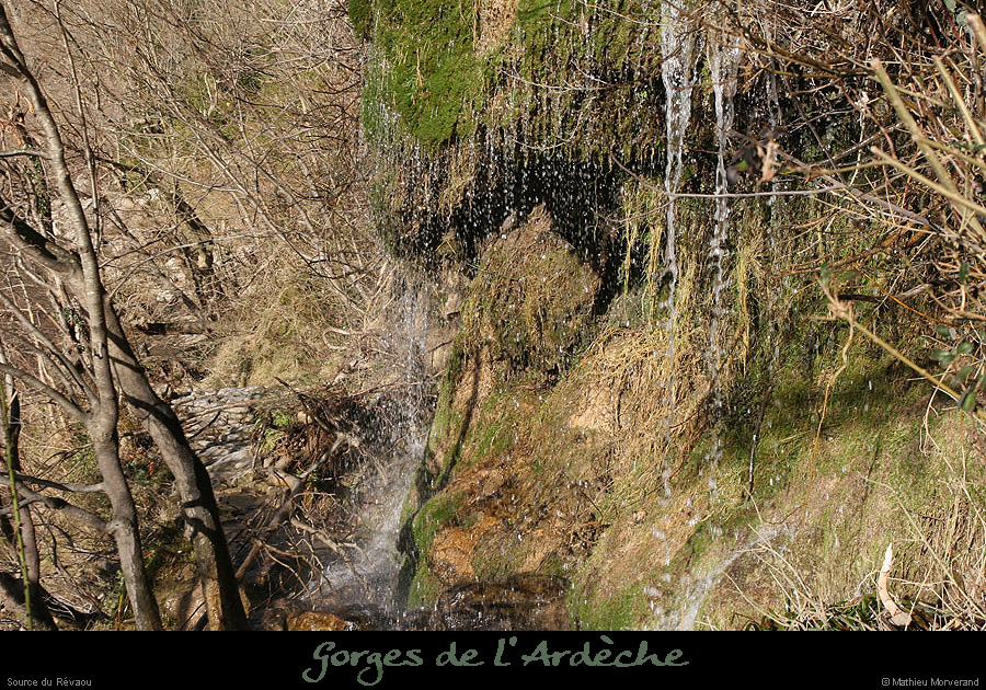 20081201_14