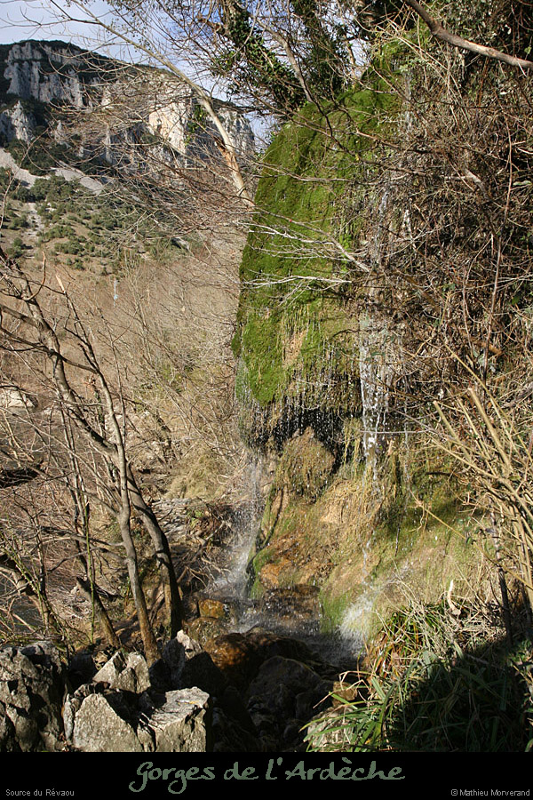 20081201_15