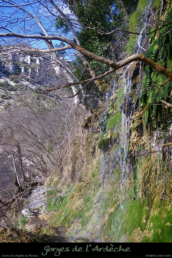 20110227_sourcedurevaou2