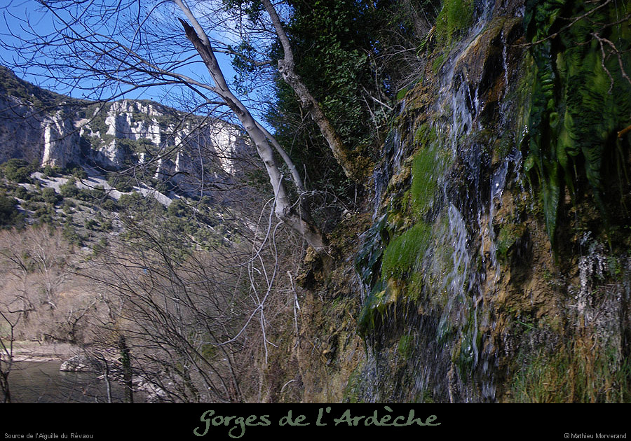 20110227_sourcedurevaou3