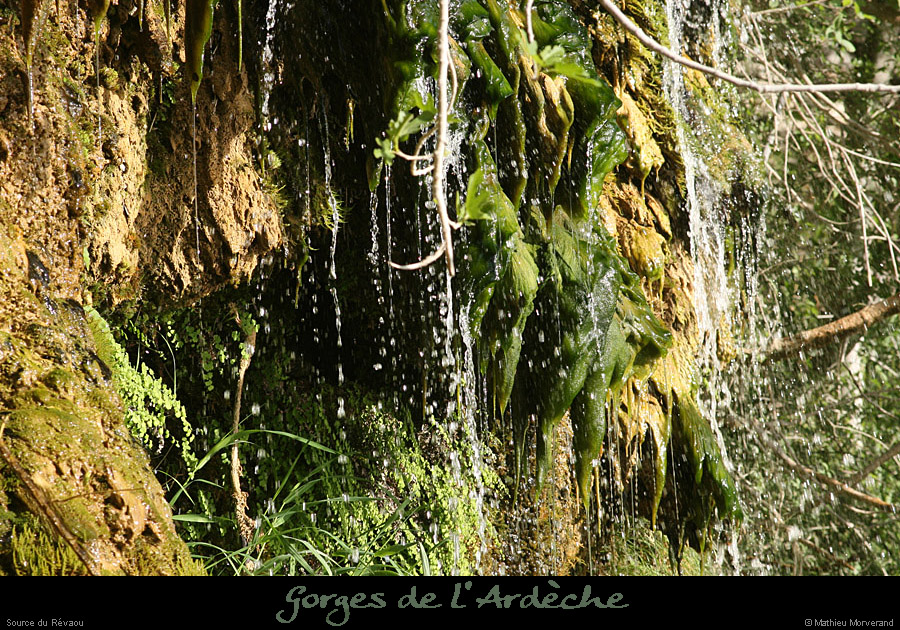 20110424_sourcerevaou2