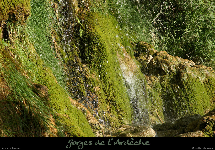 20110424_sourcerevaou3