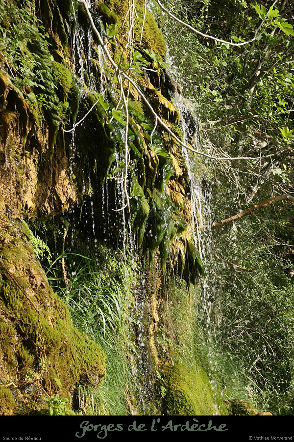20110424_sourcerevaou4