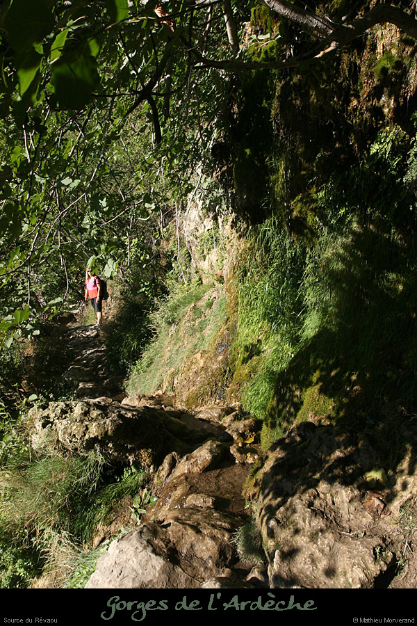 20120916_sourcerevaou