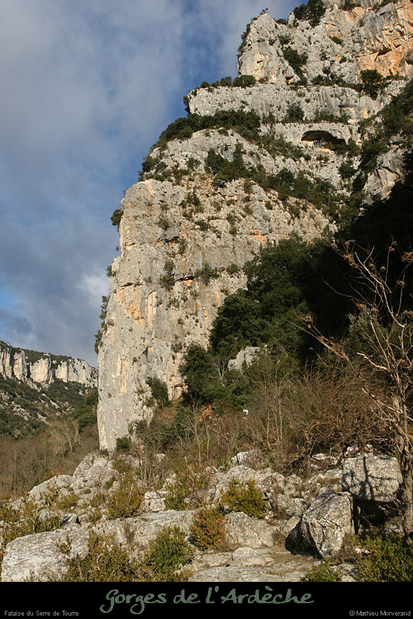20081219_falaiseserredetourre2