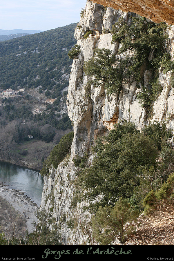 20081228_viresserredetourre04