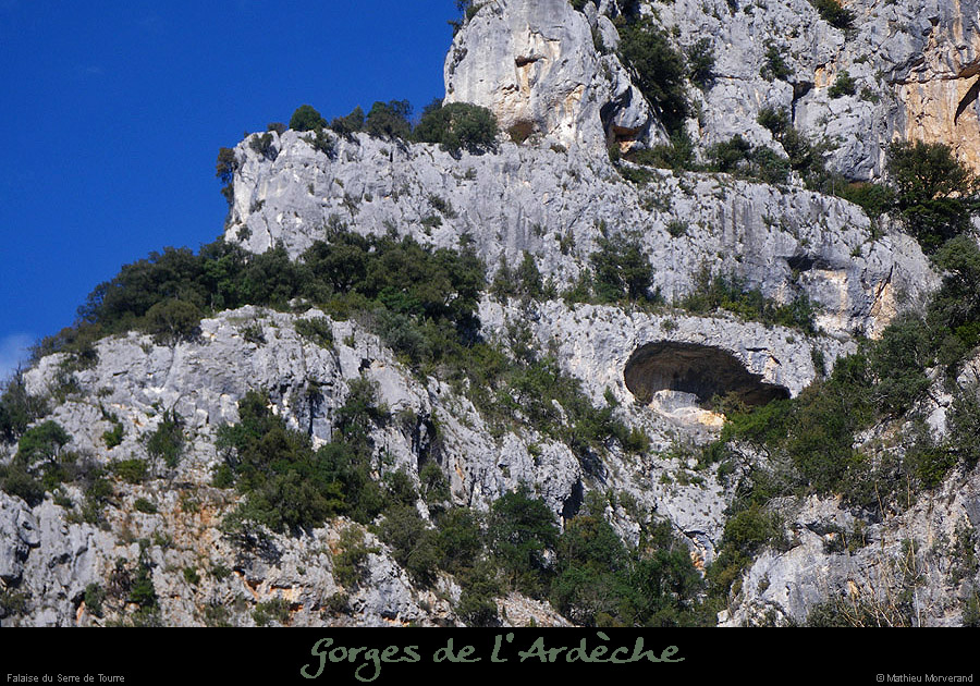 20110227_falaisesserredetourreparaval
