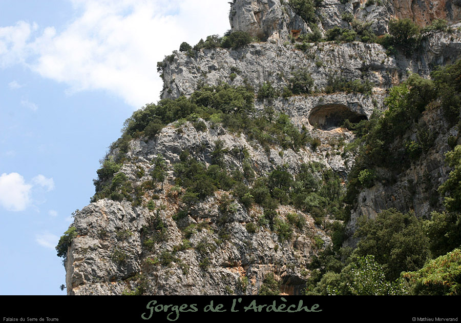 20110706_falaiseserredetourre_grotterenault