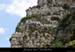 20110706_falaiseserredetourre_grotterenault
