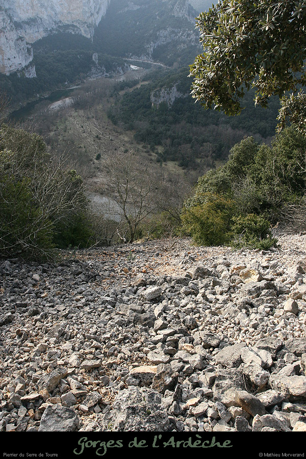 20081228_pierriersserredetourre1