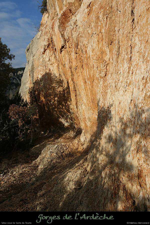 20081228_viresserredetourre01