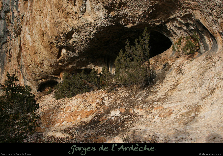 20081228_viresserredetourre06