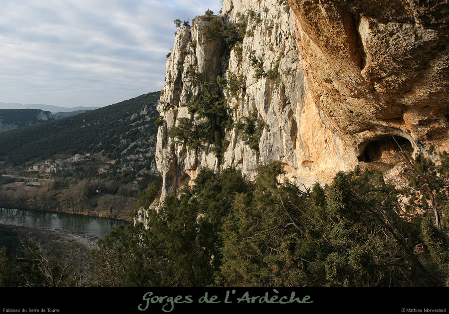 20081228_viresserredetourre13