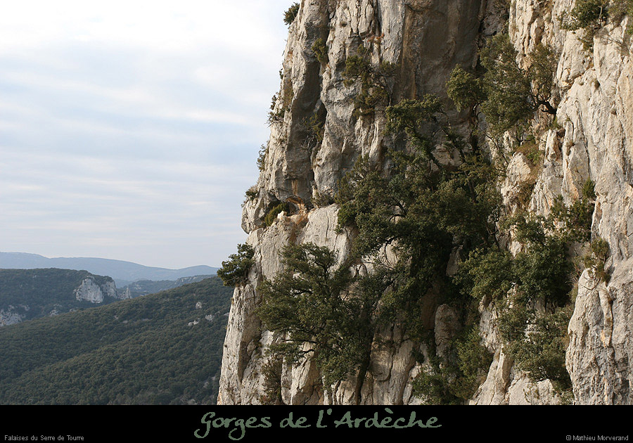 20081228_viresserredetourre14