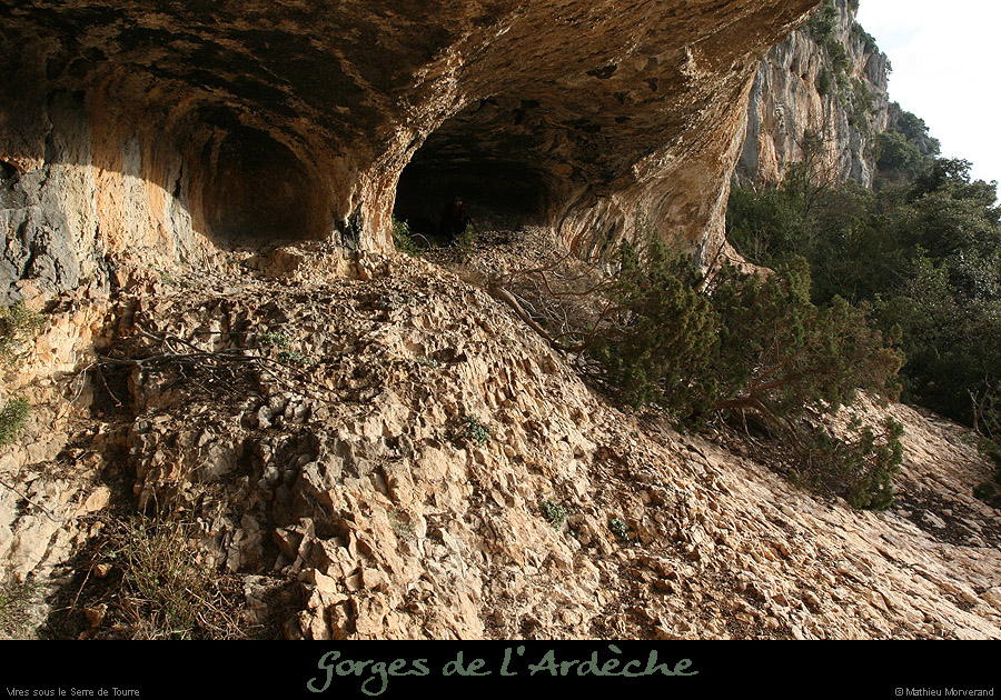 20081228_viresserredetourre15
