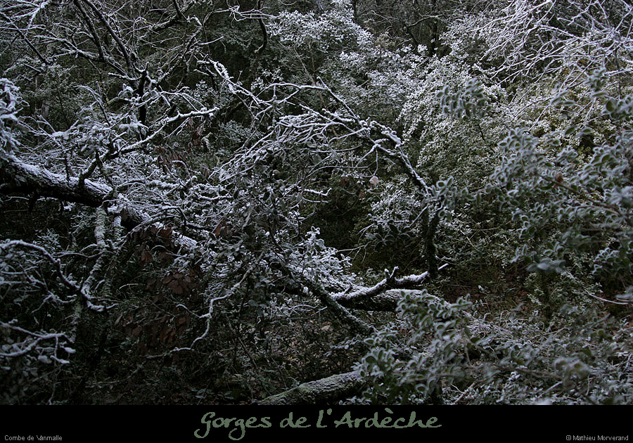20061227_combevanmalle1