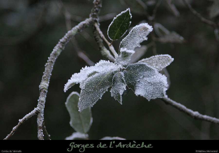 20061227_combevanmalle3